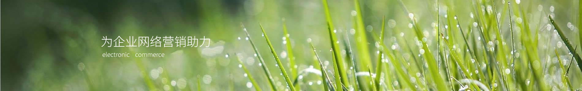 ŵտƼչ޹˾